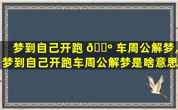 梦到自己开跑 🌺 车周公解梦,梦到自己开跑车周公解梦是啥意思